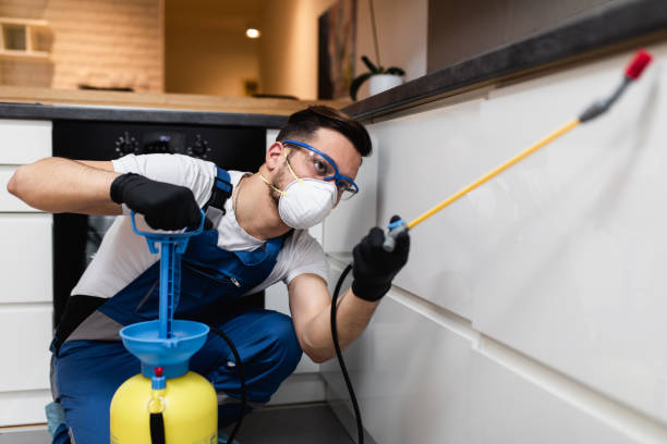 Best Insect Control  in Beardstown, IL