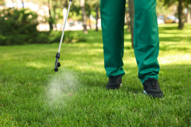 Reliable Beardstown, IL Pest Control Solutions