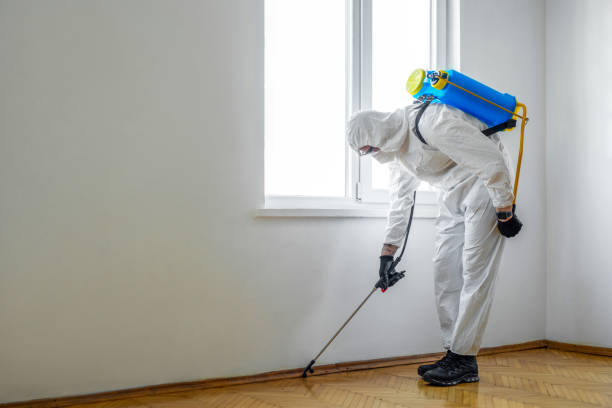 Best Affordable Pest Control Services  in Beardstown, IL