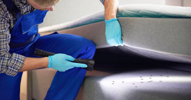 Best Pest Control Near Me  in Beardstown, IL
