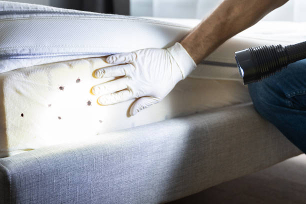 Pest Prevention Services in Beardstown, IL