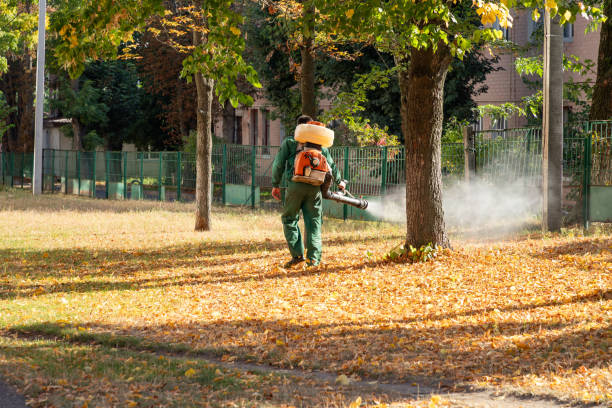 Best Termite Control Services  in Beardstown, IL