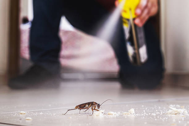 Best Exterminator Services  in Beardstown, IL